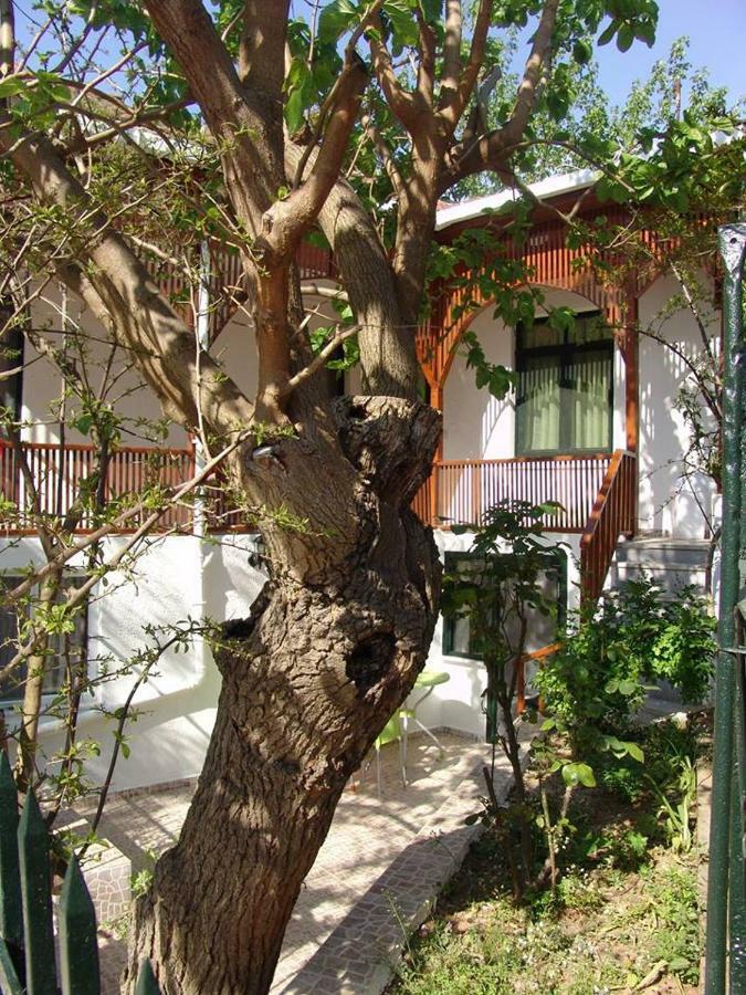 Гостевой дом Orhan Kutbayin Evi *